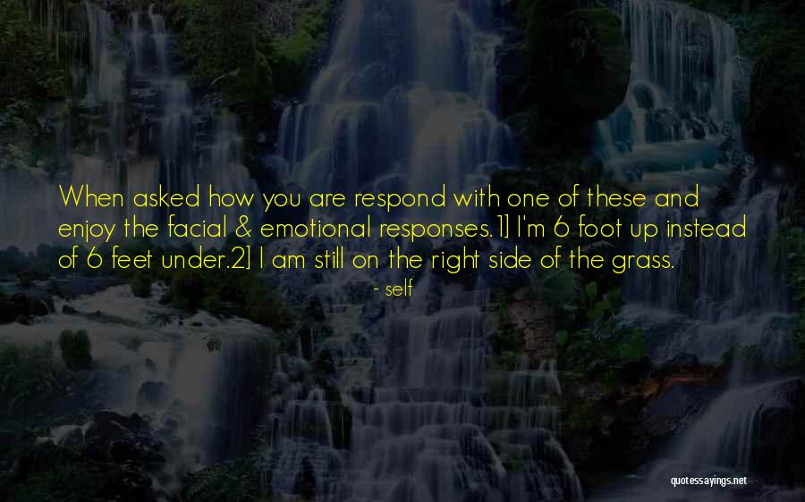 Suhogro 100 Quotes By Self Suhogro 100 Quotes By Self