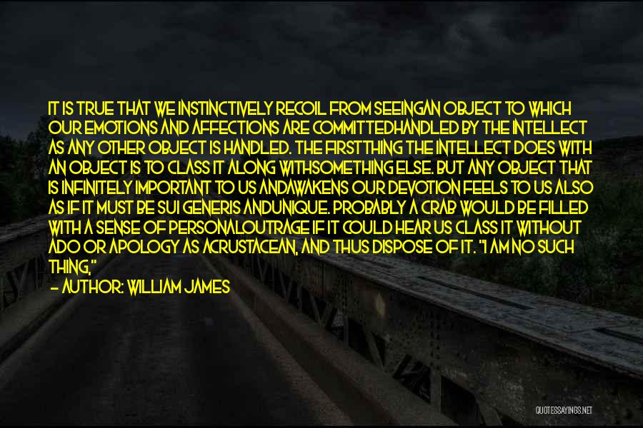 Sui Generis Quotes By William James