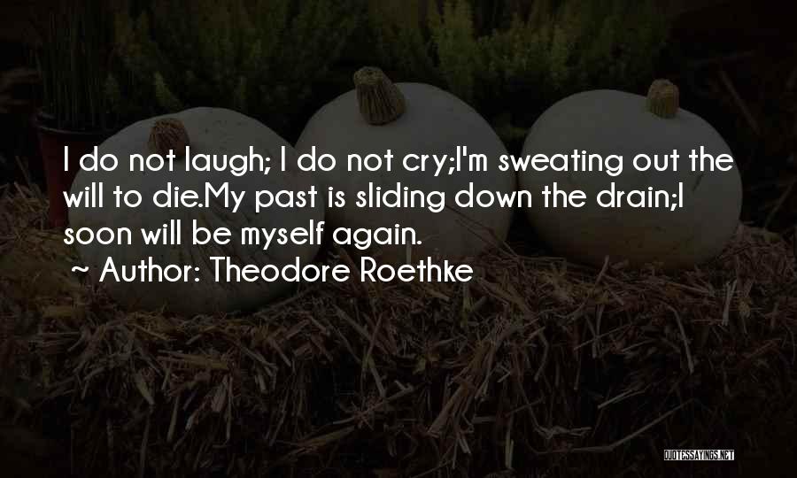 Suicidal Thoughts Quotes By Theodore Roethke