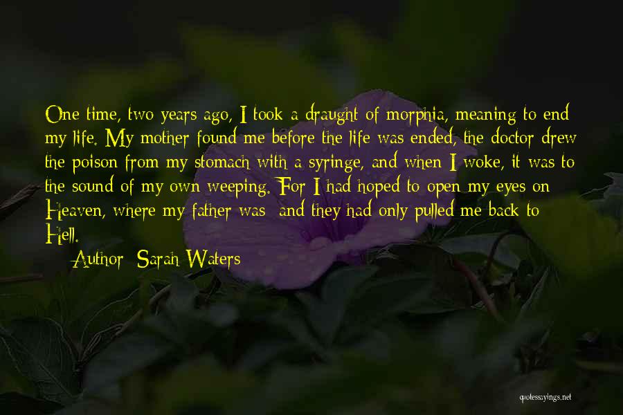 Suicide And Going To Heaven Quotes By Sarah Waters