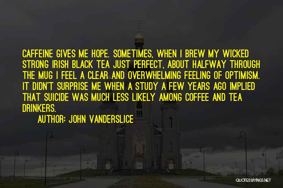 Suicide And Hope Quotes By John Vanderslice