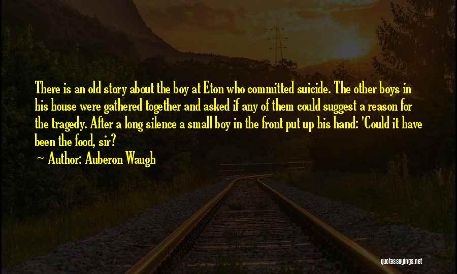 Suicide Quotes By Auberon Waugh