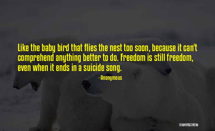 Suicide The Song Quotes By Anonymous Suicide The Song Quotes By Anonymous