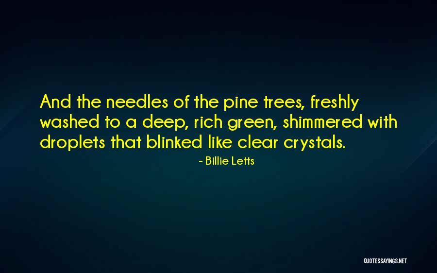 Suikerspin Maken Quotes By Billie Letts