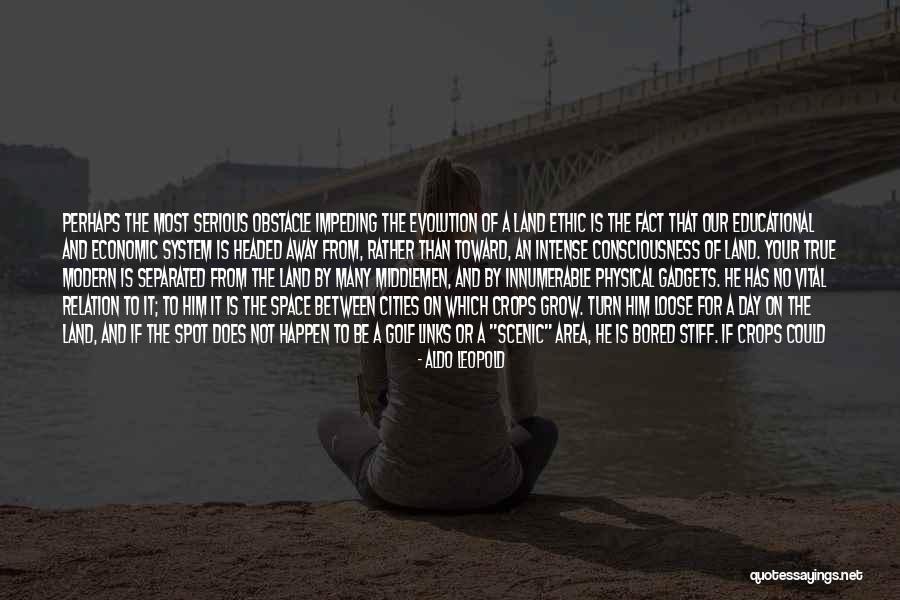 Suit On Quotes By Aldo Leopold Suit On Quotes By Aldo Leopold