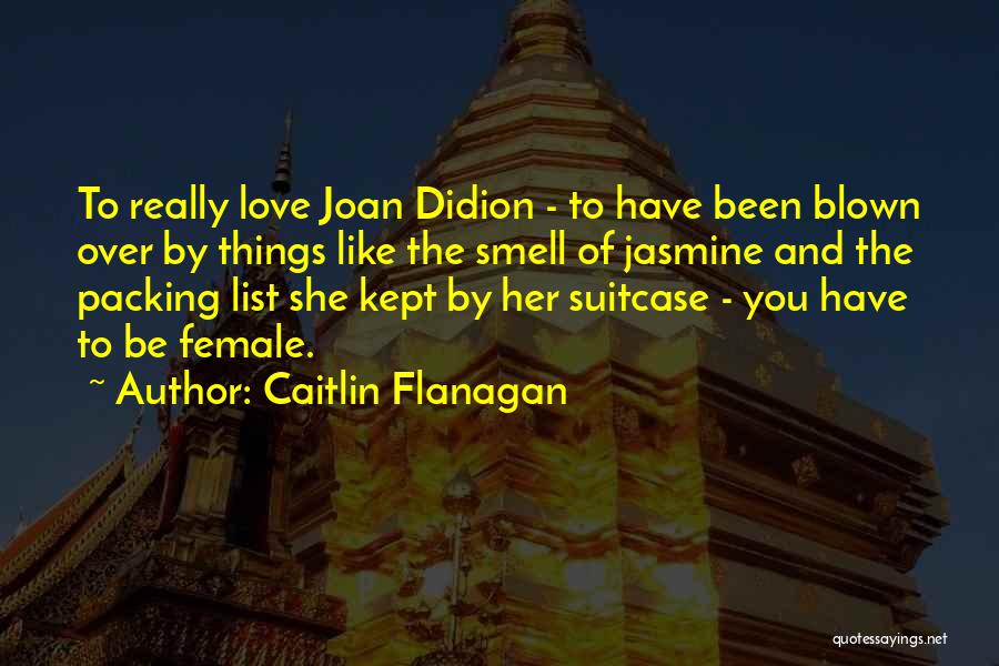 Suitcase Packing Quotes By Caitlin Flanagan