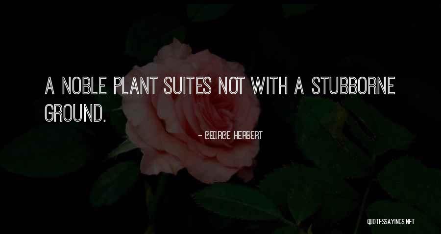 Suites Quotes By George Herbert Suites Quotes By George Herbert