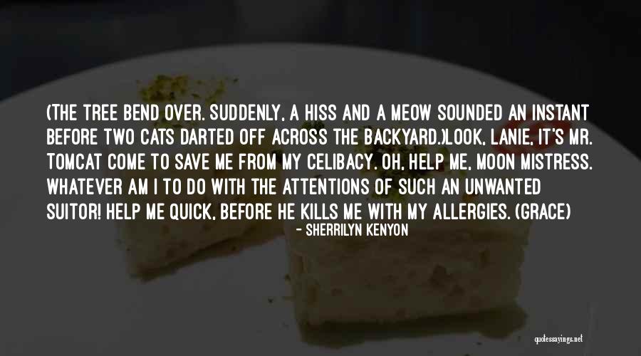 Suitor Quotes By Sherrilyn Kenyon Suitor Quotes By Sherrilyn Kenyon