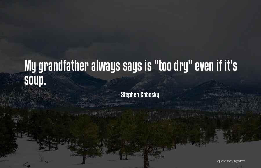 Suizo Drogueria Quotes By Stephen Chbosky Suizo Drogueria Quotes By Stephen Chbosky
