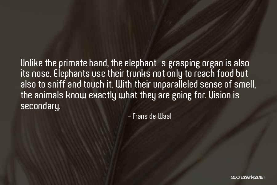 Sujeewa Priyal Yaddehige Quotes By Frans De Waal Sujeewa Priyal Yaddehige Quotes By Frans De Waal