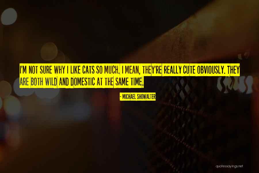 Sujeito Poetico Quotes By Michael Showalter Sujeito Poetico Quotes By Michael Showalter