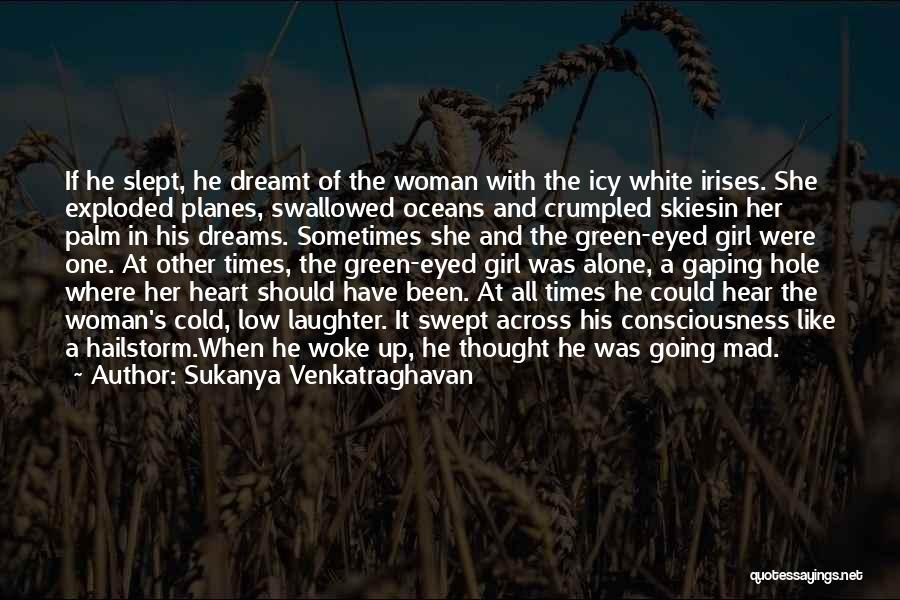 Sukanya Venkatraghavan Quotes 2022360