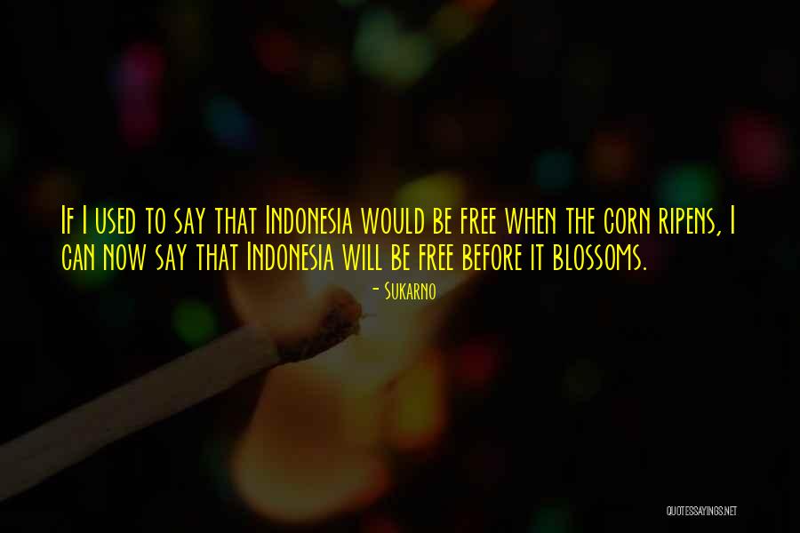 Sukarno Quotes 404678