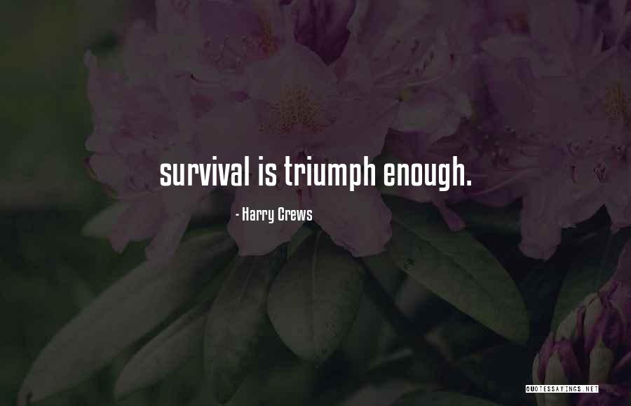 Suketu Mansuria Quotes By Harry Crews Suketu Mansuria Quotes By Harry Crews