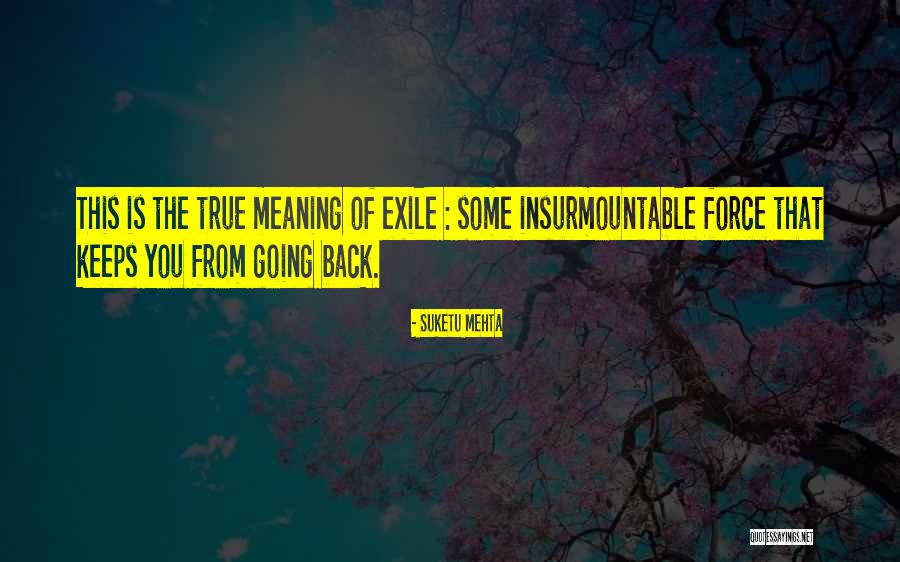 Suketu Mehta Quotes 205647 Suketu Mehta Quotes 205647