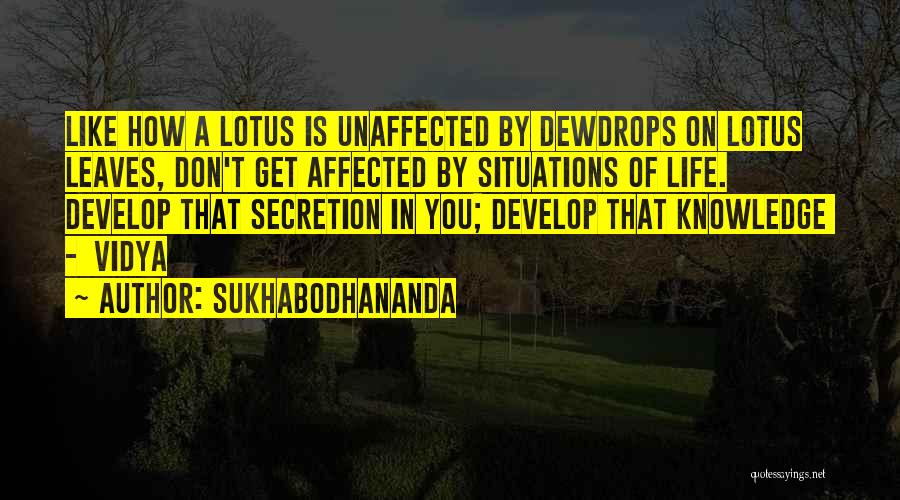 Sukhabodhananda Quotes 869078