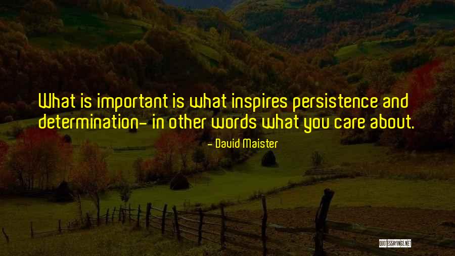 Sukhdeo Drug Quotes By David Maister Sukhdeo Drug Quotes By David Maister