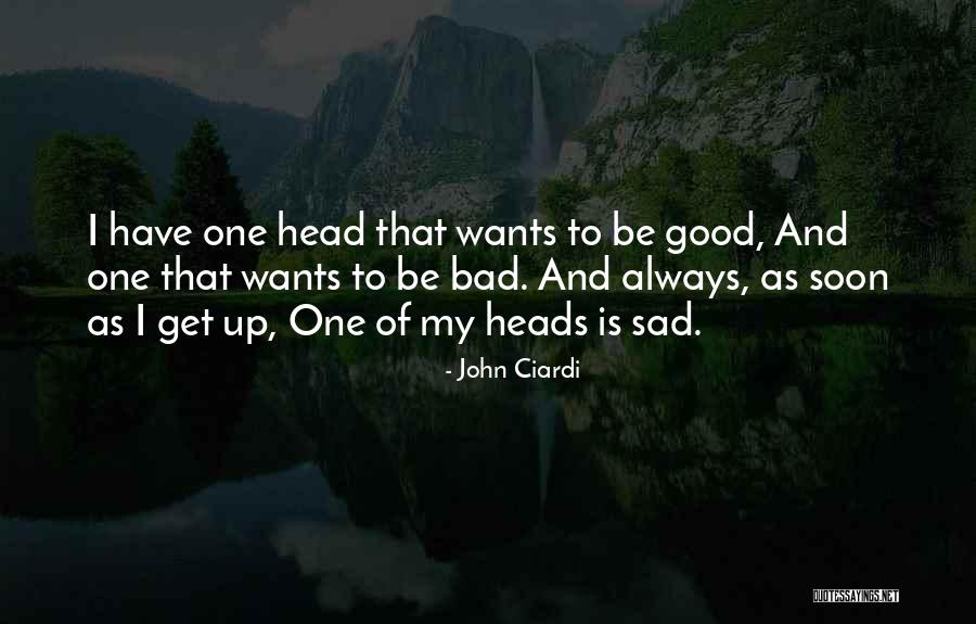 Sukhon Willis Quotes By John Ciardi Sukhon Willis Quotes By John Ciardi