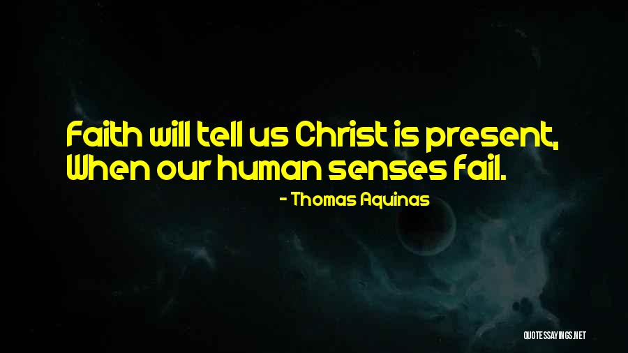 Sukulenty Pardubice Quotes By Thomas Aquinas Sukulenty Pardubice Quotes By Thomas Aquinas