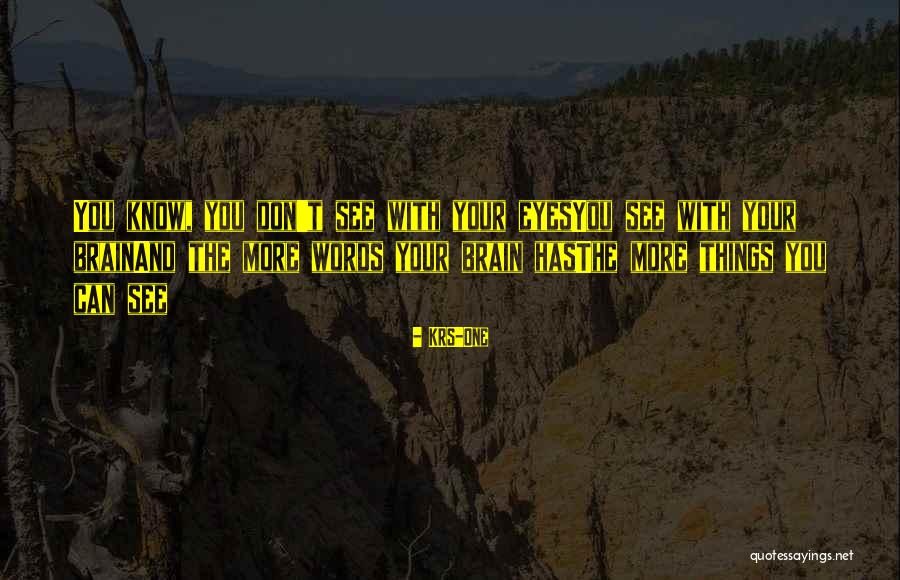 Sulatab Quotes By KRS-One Sulatab Quotes By KRS-One