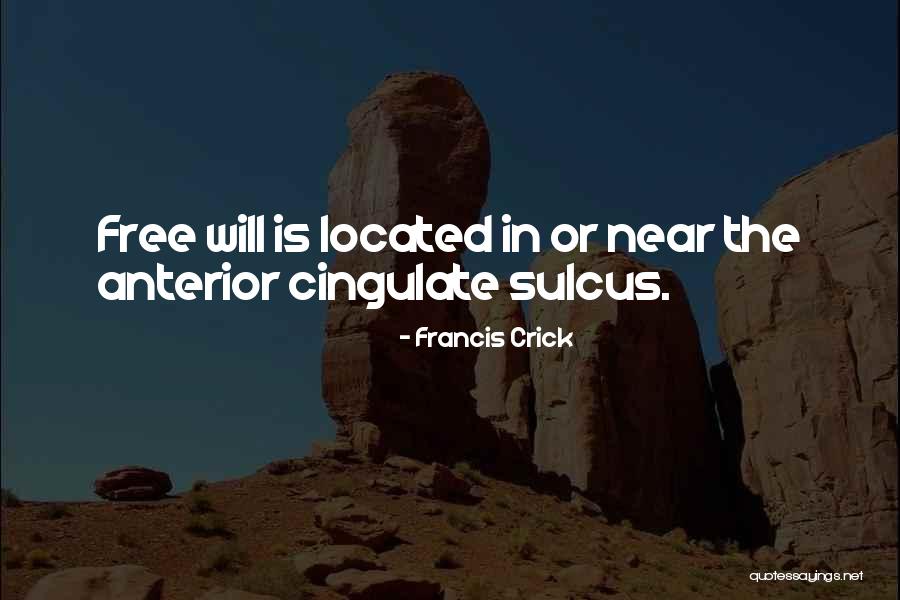 Sulcus Quotes By Francis Crick Sulcus Quotes By Francis Crick