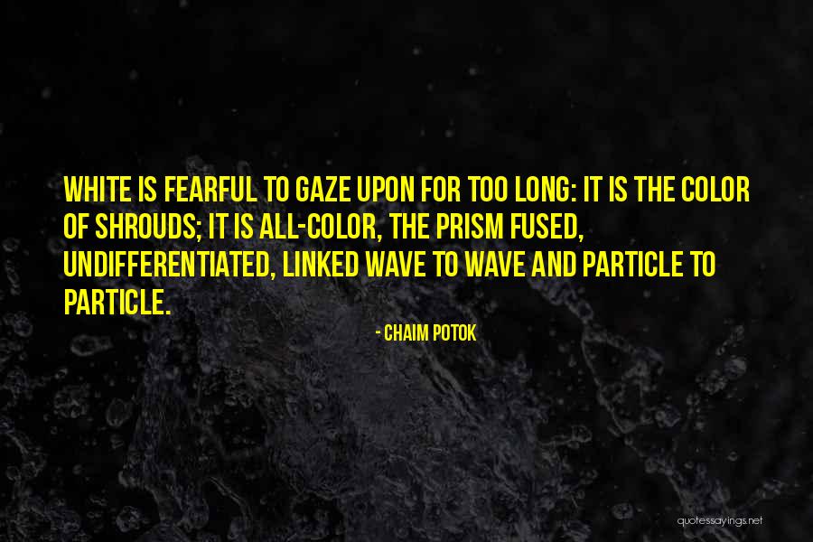 Sulejman Ugljanin Quotes By Chaim Potok Sulejman Ugljanin Quotes By Chaim Potok