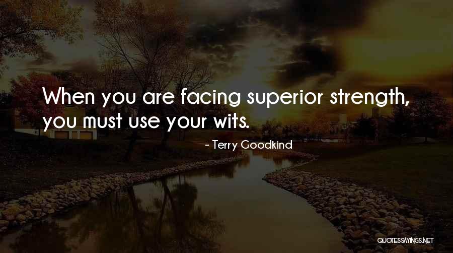 Suleman Khan Quotes By Terry Goodkind