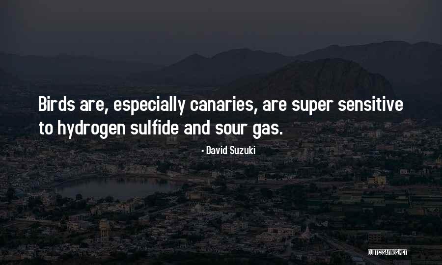 Sulfide Quotes By David Suzuki