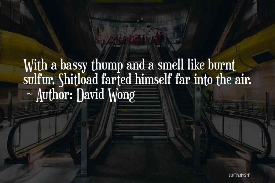 Sulfur Quotes By David Wong