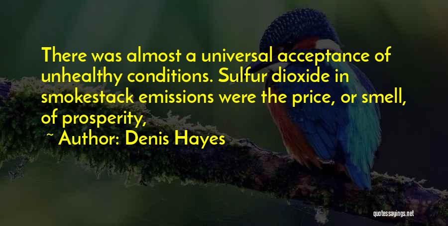 Sulfur Quotes By Denis Hayes
