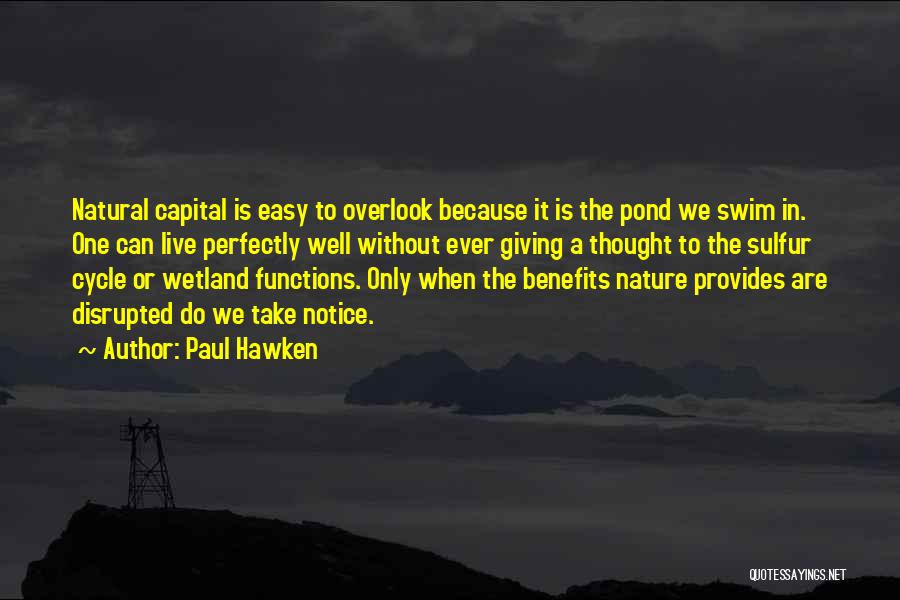Sulfur Quotes By Paul Hawken