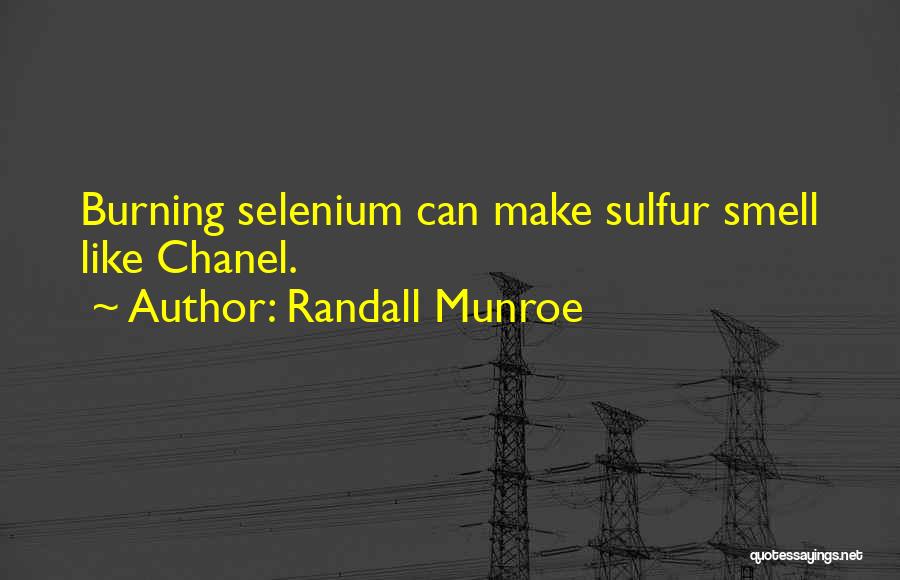 Sulfur Quotes By Randall Munroe