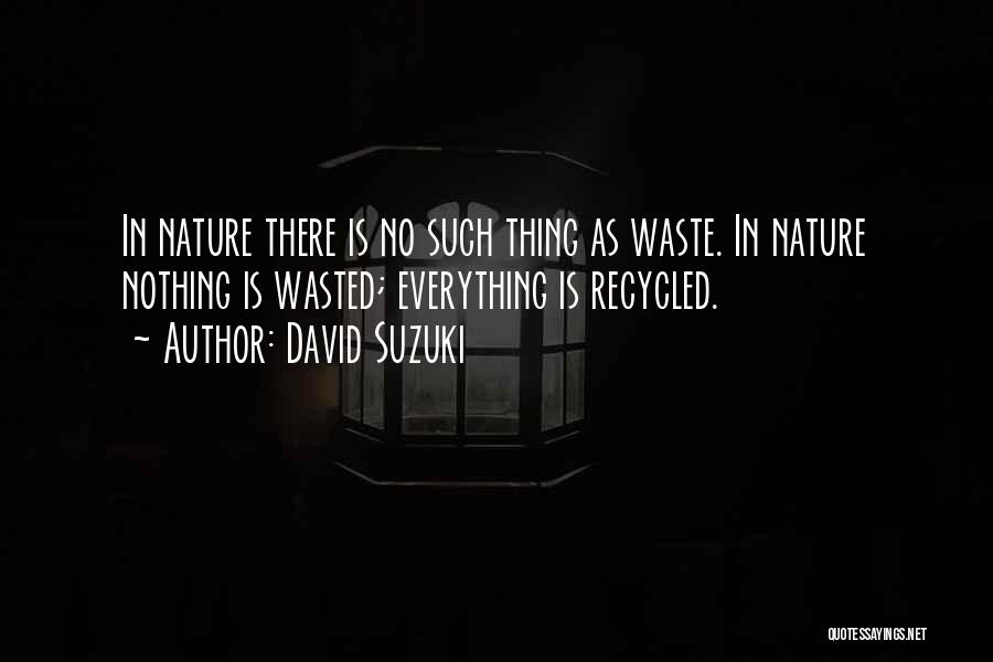 Suliot Quotes By David Suzuki