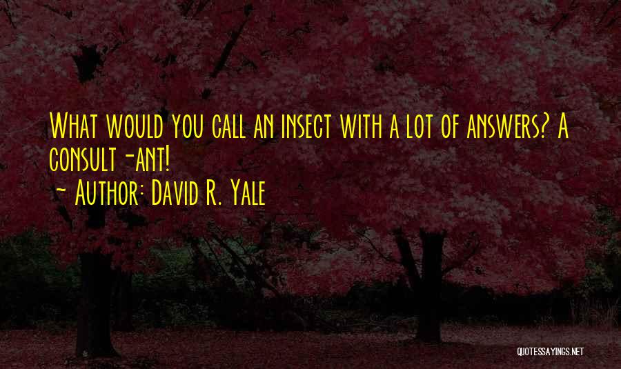 Sulkers Electric Custer Quotes By David R. Yale