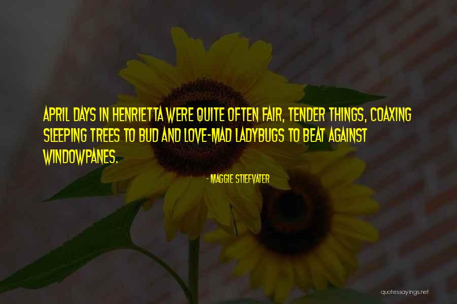 Sullam Hebrew Quotes By Maggie Stiefvater Sullam Hebrew Quotes By Maggie Stiefvater