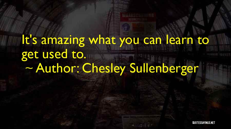 Sullenberger Quotes By Chesley Sullenberger