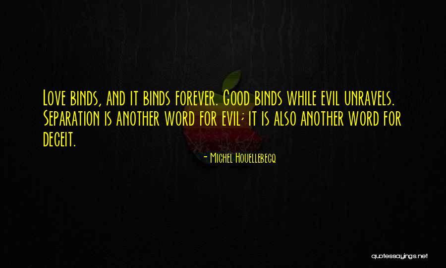 Sullenly Def Quotes By Michel Houellebecq Sullenly Def Quotes By Michel Houellebecq