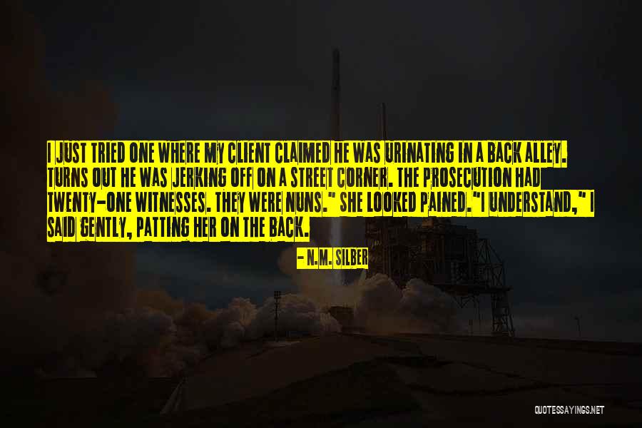 Sully People Finder Quotes By N.M. Silber Sully People Finder Quotes By N.M. Silber