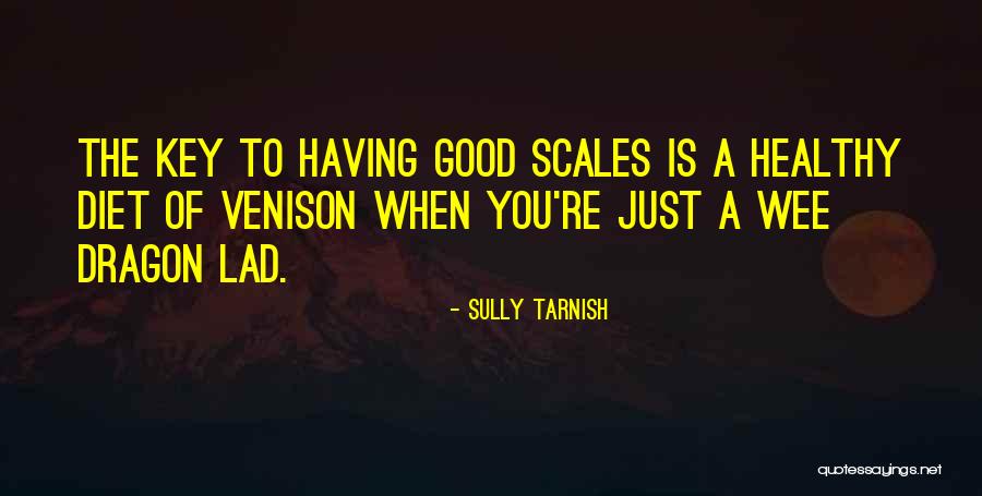 Sully Tarnish Quotes 1999079 Sully Tarnish Quotes 1999079