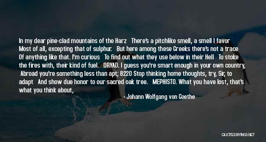 Sulphur Quotes By Johann Wolfgang Von Goethe