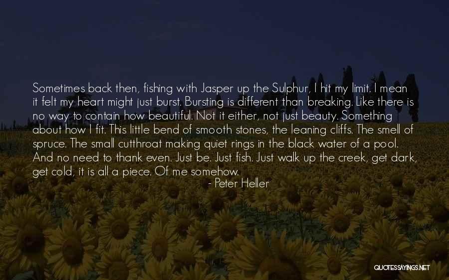 Sulphur Quotes By Peter Heller