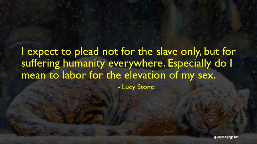Sulvanious Windmill Quotes By Lucy Stone Sulvanious Windmill Quotes By Lucy Stone
