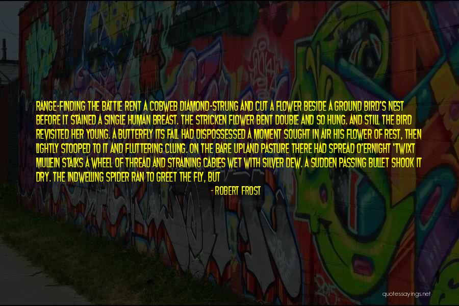 Sulyma Intel Quotes By Robert Frost Sulyma Intel Quotes By Robert Frost