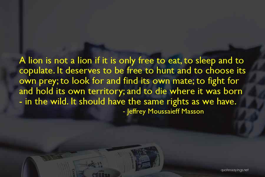 Sum Gud Quotes By Jeffrey Moussaieff Masson Sum Gud Quotes By Jeffrey Moussaieff Masson