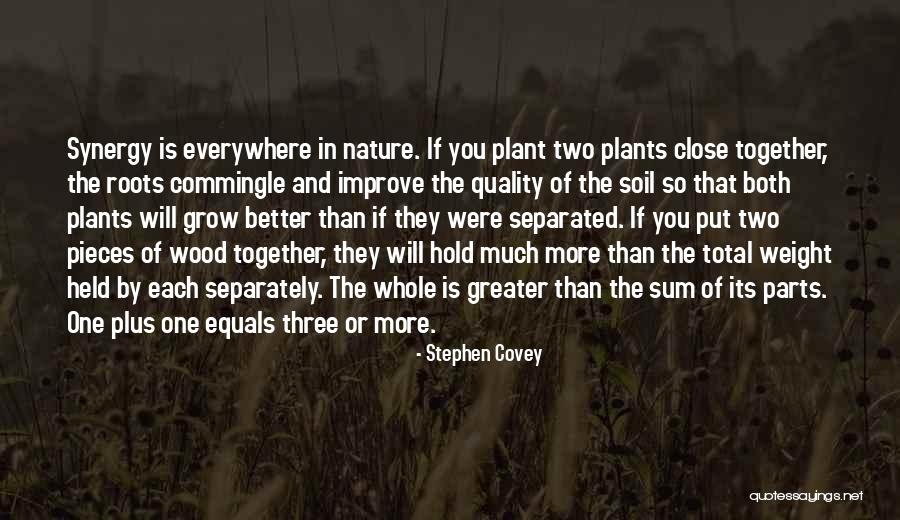 Sum Of The Parts Quotes By Stephen Covey Sum Of The Parts Quotes By Stephen Covey