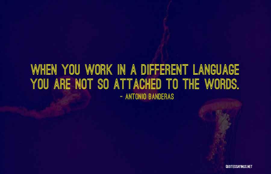 Sumayyah Dawud Quotes By Antonio Banderas