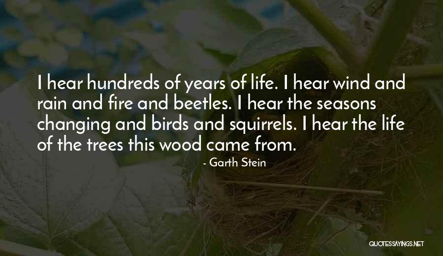 Sumienie To Glos Quotes By Garth Stein Sumienie To Glos Quotes By Garth Stein