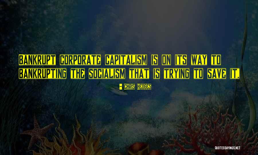 Sumita Furlong Quotes By Chris Hedges Sumita Furlong Quotes By Chris Hedges
