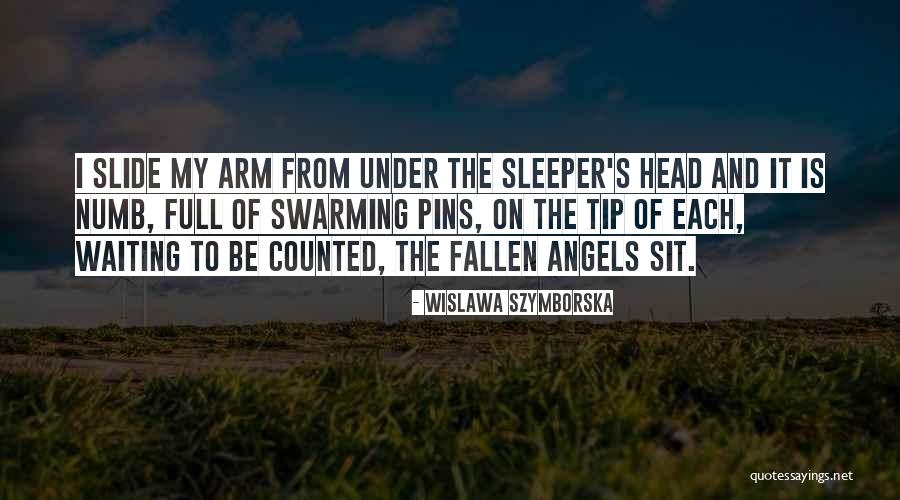 Summarized Quote Quotes By Wislawa Szymborska Summarized Quote Quotes By Wislawa Szymborska