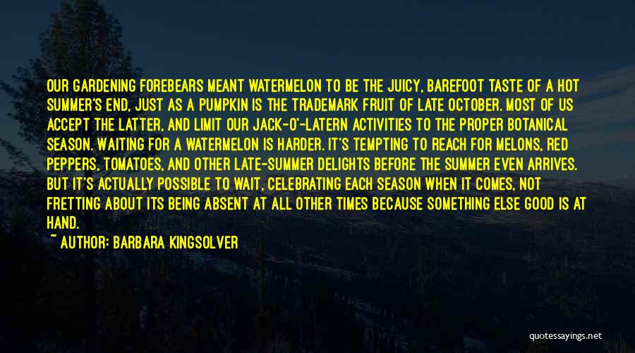 Summer Activities Quotes By Barbara Kingsolver